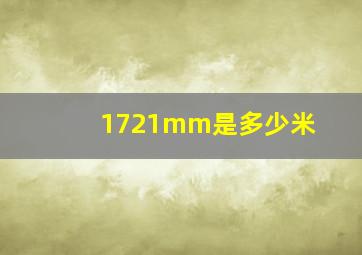 1721mm是多少米