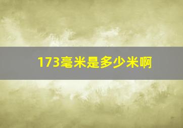 173毫米是多少米啊