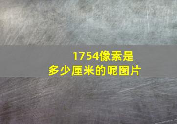 1754像素是多少厘米的呢图片