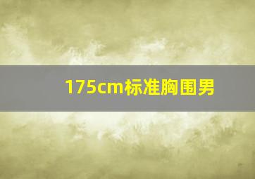 175cm标准胸围男