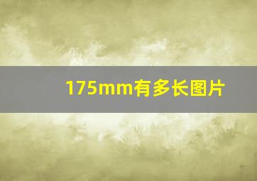 175mm有多长图片