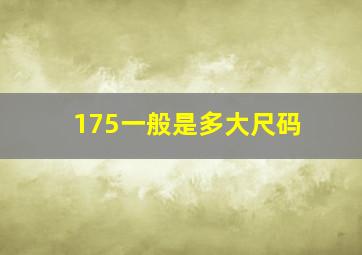 175一般是多大尺码