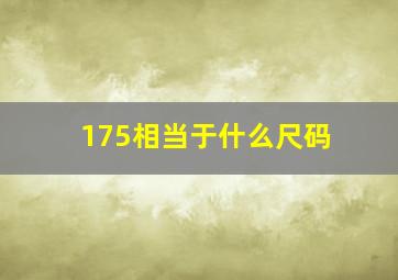 175相当于什么尺码