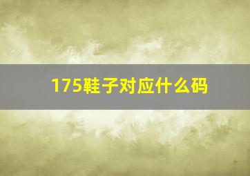 175鞋子对应什么码