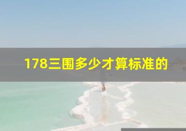 178三围多少才算标准的