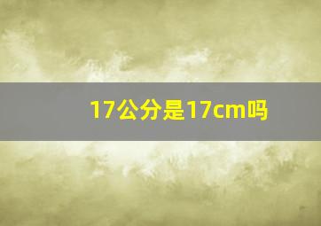 17公分是17cm吗