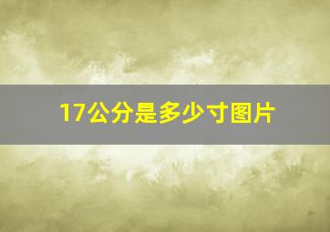 17公分是多少寸图片