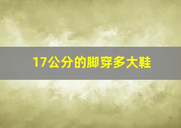 17公分的脚穿多大鞋