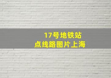 17号地铁站点线路图片上海