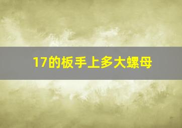 17的板手上多大螺母