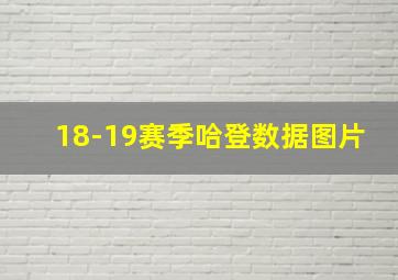 18-19赛季哈登数据图片