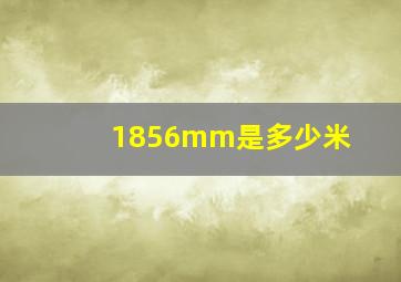 1856mm是多少米