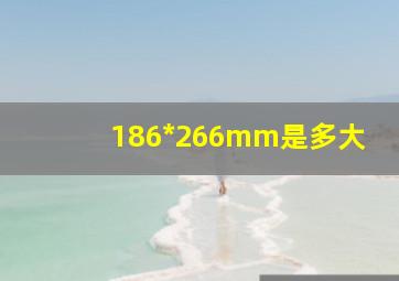 186*266mm是多大