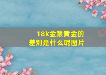 18k金跟黄金的差别是什么呢图片