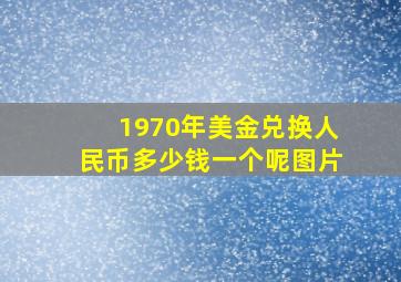 1970年美金兑换人民币多少钱一个呢图片