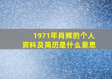 1971年肖辉的个人资料及简历是什么意思