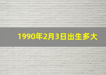 1990年2月3日出生多大