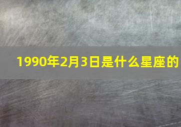 1990年2月3日是什么星座的