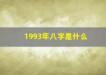 1993年八字是什么