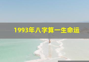 1993年八字算一生命运