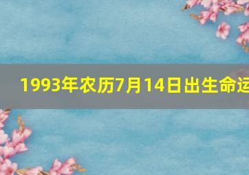 1993年农历7月14日出生命运