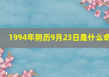 1994年阴历9月23日是什么命