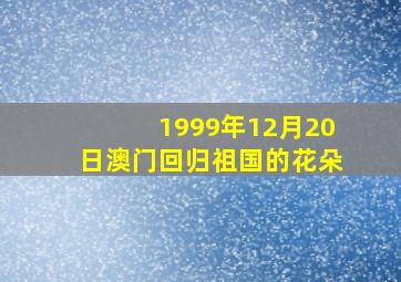 1999年12月20日澳门回归祖国的花朵