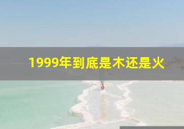 1999年到底是木还是火