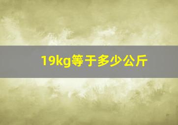 19kg等于多少公斤