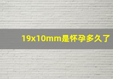 19x10mm是怀孕多久了