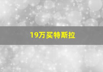 19万买特斯拉