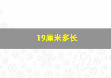 19厘米多长