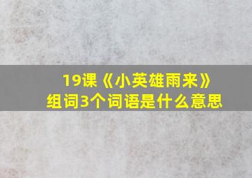 19课《小英雄雨来》组词3个词语是什么意思