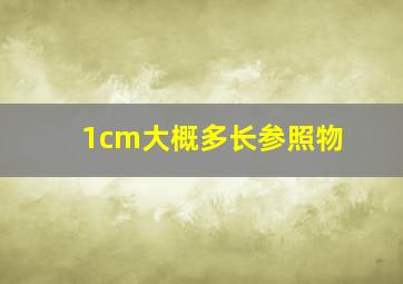 1cm大概多长参照物