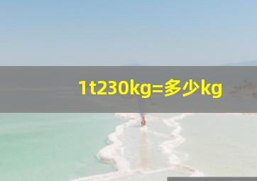 1t230kg=多少kg