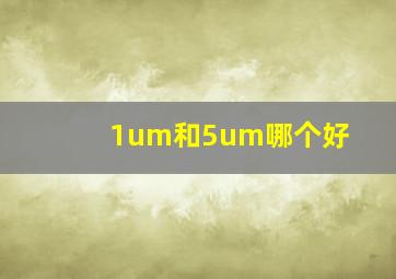 1um和5um哪个好