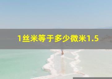 1丝米等于多少微米1.5