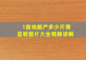 1亩地能产多少斤黄豆呢图片大全视频讲解