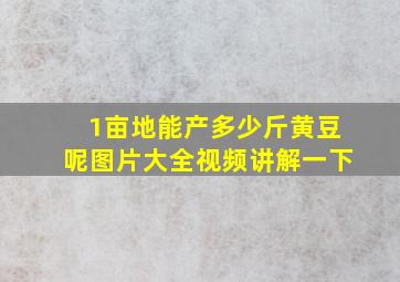 1亩地能产多少斤黄豆呢图片大全视频讲解一下