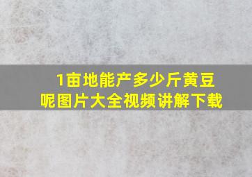 1亩地能产多少斤黄豆呢图片大全视频讲解下载