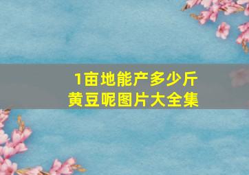 1亩地能产多少斤黄豆呢图片大全集