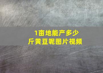 1亩地能产多少斤黄豆呢图片视频