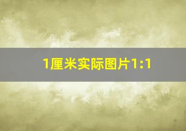 1厘米实际图片1:1