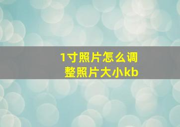 1寸照片怎么调整照片大小kb