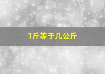 1斤等于几公斤