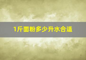 1斤面粉多少升水合适