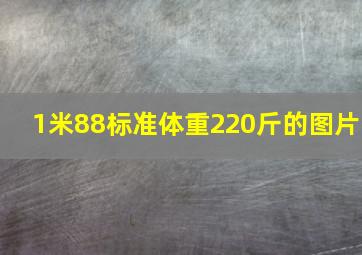 1米88标准体重220斤的图片