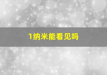 1纳米能看见吗