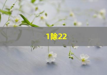 1除22