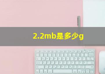 2.2mb是多少g